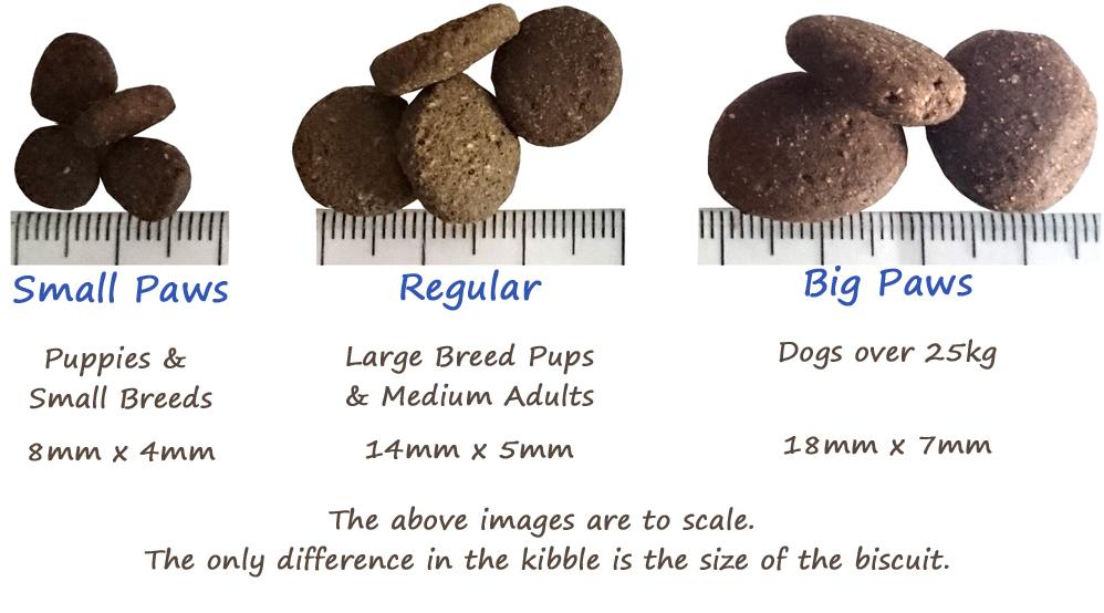 can small dogs eat big kibble